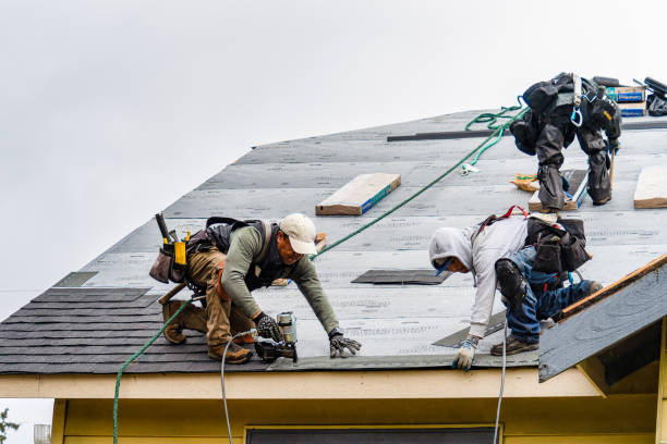 Professional Roofing technician working in Plato, MN